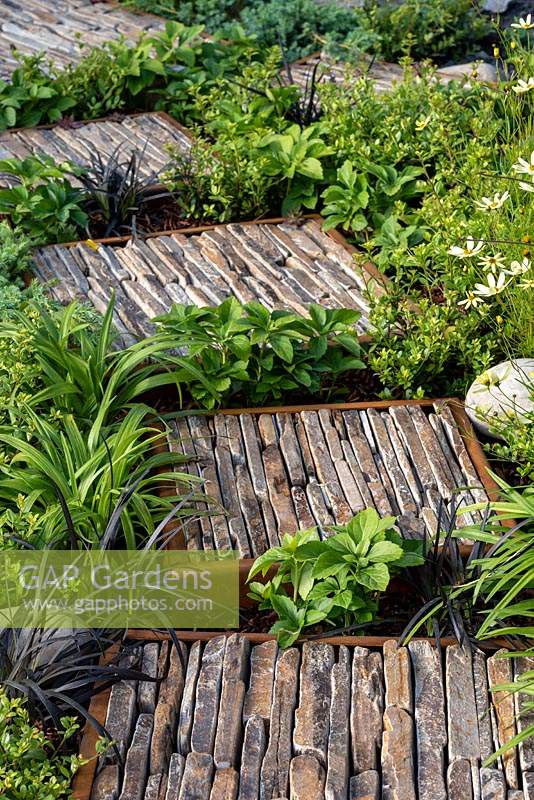 Cut stone paving slabs create an unusual garden path in the Through your Eyes garden.  The slabs are created by using  long narrow pieces of stone placed in a metal rectangle.  The path is interplanted with Ophiopogon nigra,and low growing plants and houseleeks - Sempervivum are growing between the stones.  Designers Lawrence Roberts and William Roobrouch - Sponsors: Kebony, CED Stone, R7G Metal Products, William's Art  and  Design and Practicality Brown.