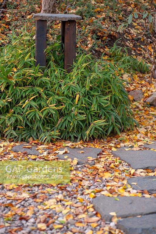 Wooden stands for bonsai among bamboo leaves om stone sidewalk 'tobishi' 