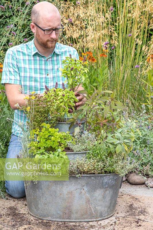 Man planting up the tiered container with a selection of herbs.
