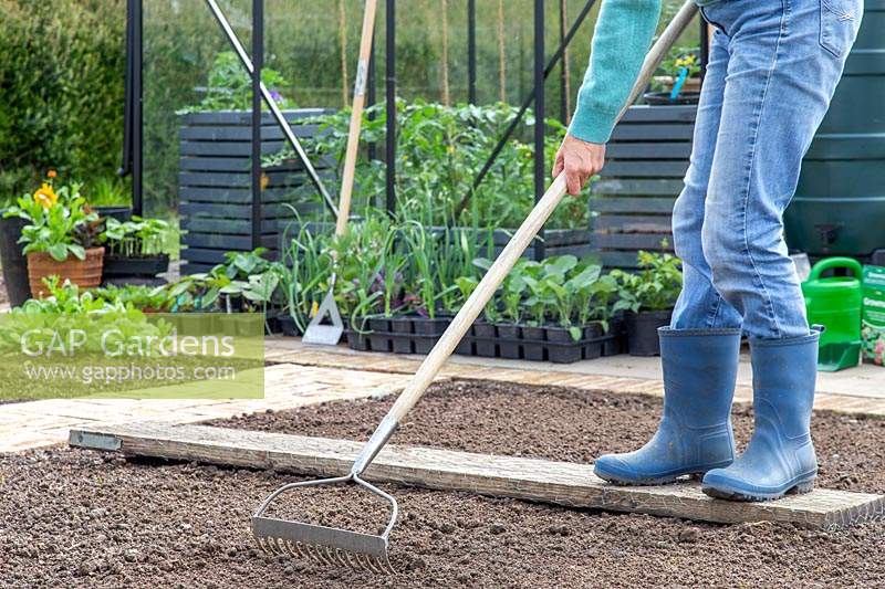 Woman using a rake to create a fine tilt and a bed ready for sowing.
