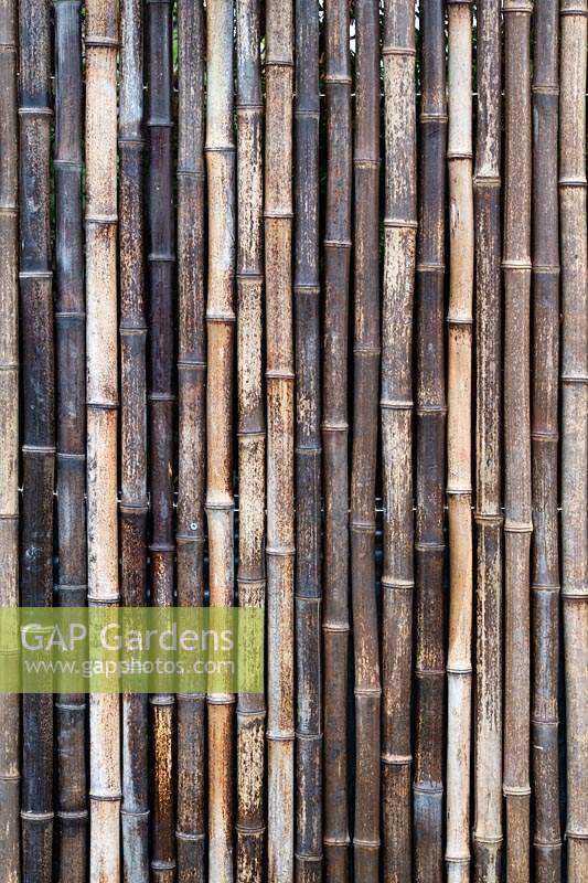 Bamboo screen. The Equilibrium Garden, designed by Richard Heys MICHort and Audra Bickerdyke, working with female prisoners at HMPPS and YOI Styal, RHS Tatton Park Flower Show, 2019.