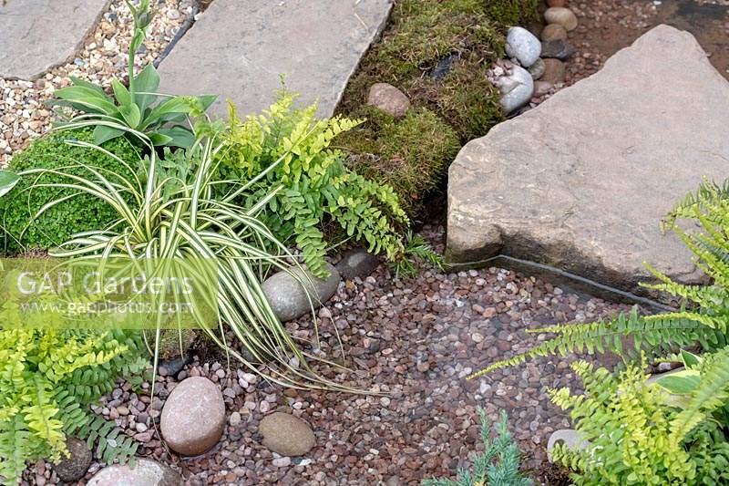 Osmunda regalis - Royal fern, stones and water in The Equilibrium Garden, designed by Richard Heys MICHort and Audra Bickerdyke, working with female prisoners at HMPPS and YOI Styal at RHS Tatton Park Flower Show, 2019.