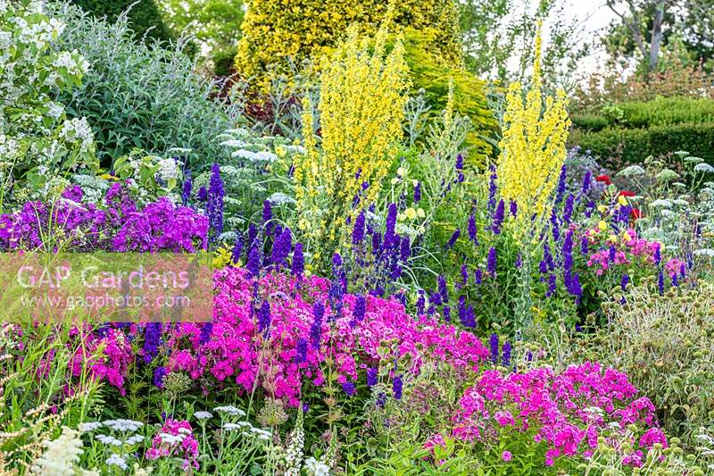 Mixed summer-flowering perennials in border at Great Dixter Gardens, East Sussex, UK. 
