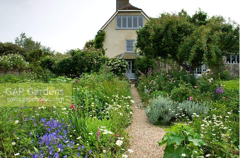 Pathway leading through flowering borders to house. 