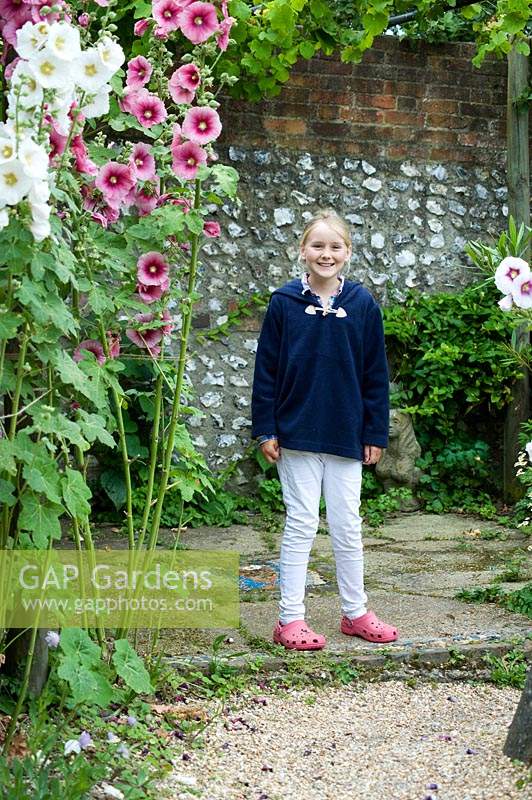Girl in garden by Alcea rosea - Hollyhock  