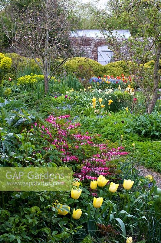 Spring borders and blossoming trees at Charleston, East Sussex.