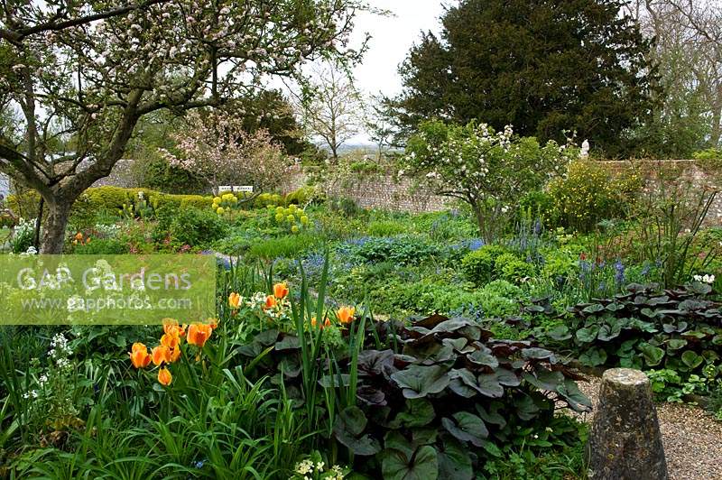 Spring borders and blossoming trees at Charleston, East Sussex.