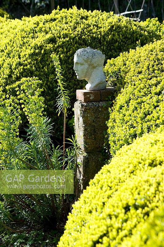 Classic statue of man's face and head sits atop plinth by topiary hedge. 
