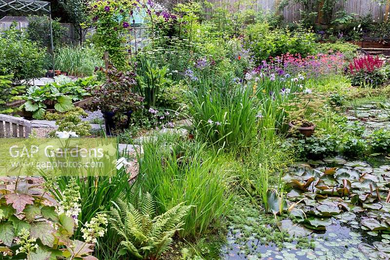 General view of pond area, looking towards Iris collection