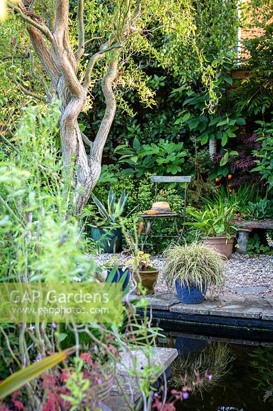 View across pond to gravel area with pots and chair. Little Friars Garden, Battle, Sussex, UK. 