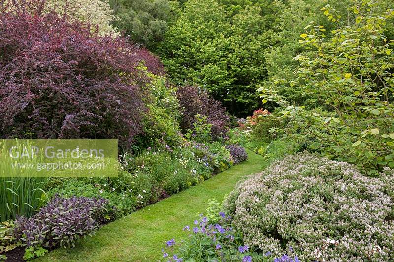 Long terraced borders of flowering perennials and shrubs with grass pathway.
