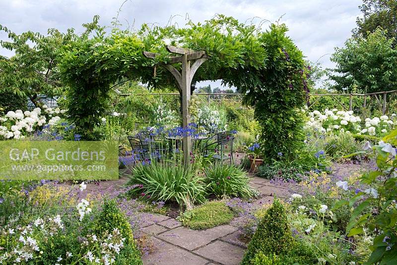 A wisteria-clad pergola, the uprights in beds of blue agapanthus and dark pink drumstick alliums. Behind, white 'Annabelle' hydrangeas.