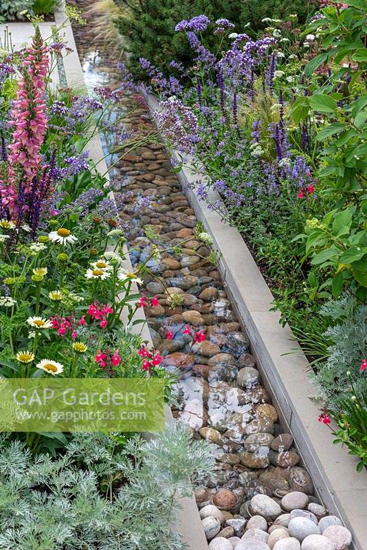 A contemporary water rill filled with large pebbles, and edged in Digitalis, Salvias, Echinacea and Nepeta