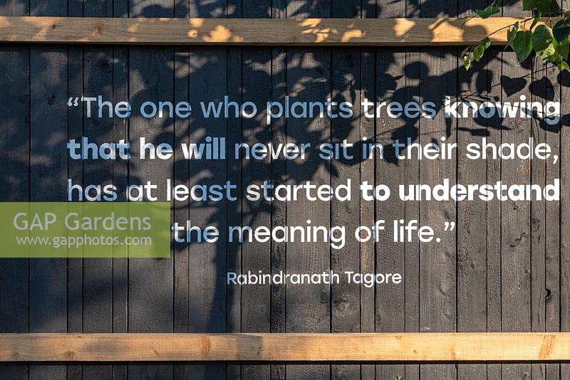 A quote by Rabindranath Tagore, concerning man's relationship with trees.