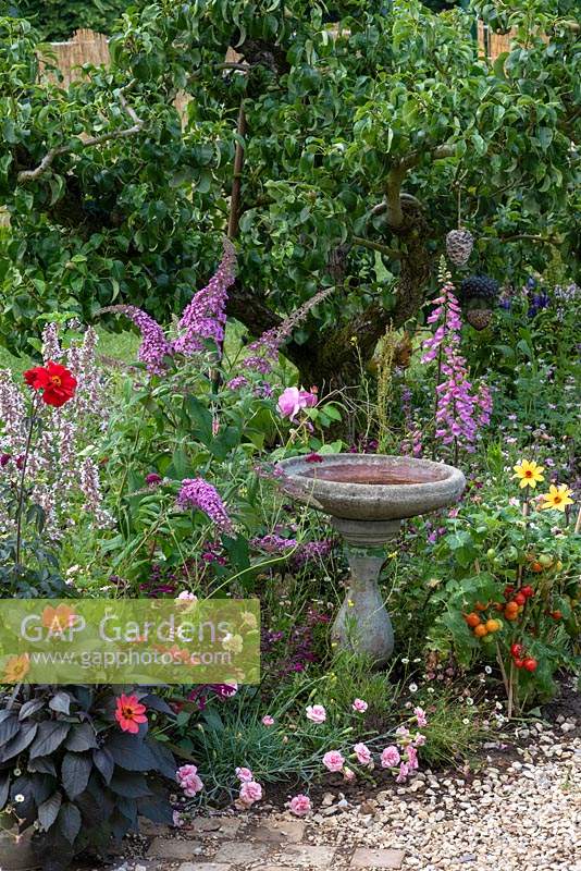 A bird bath set in flowering border. BBC Springwatch Garden, designed by Jo Thompson. RHS Hampton Court Palace Garden Festival, 2019.

