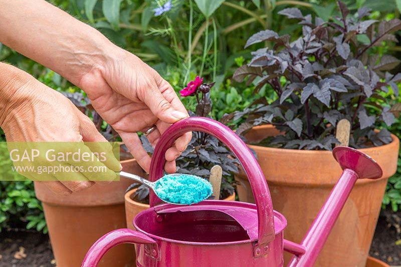 Woman adding fertiliser to watering can