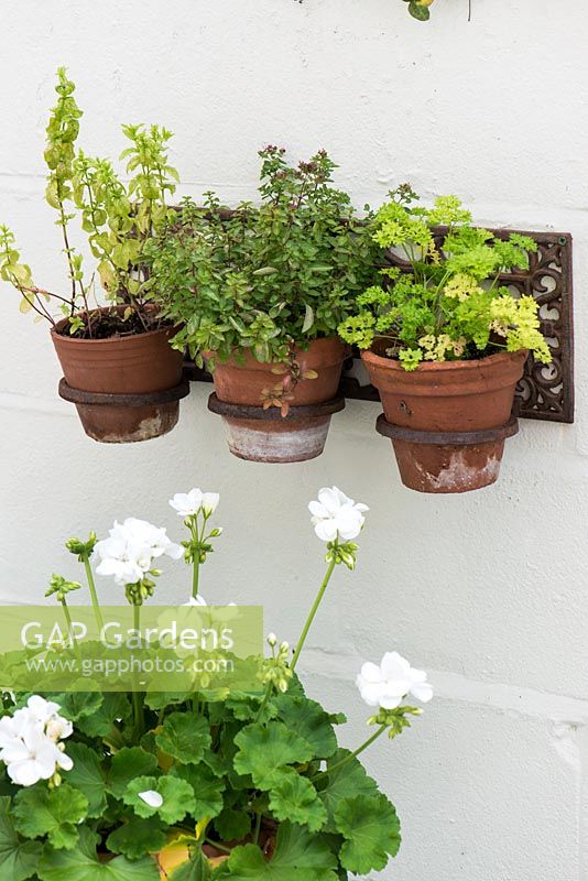 Wall hanging planter with terracotta pots planted with herbs
