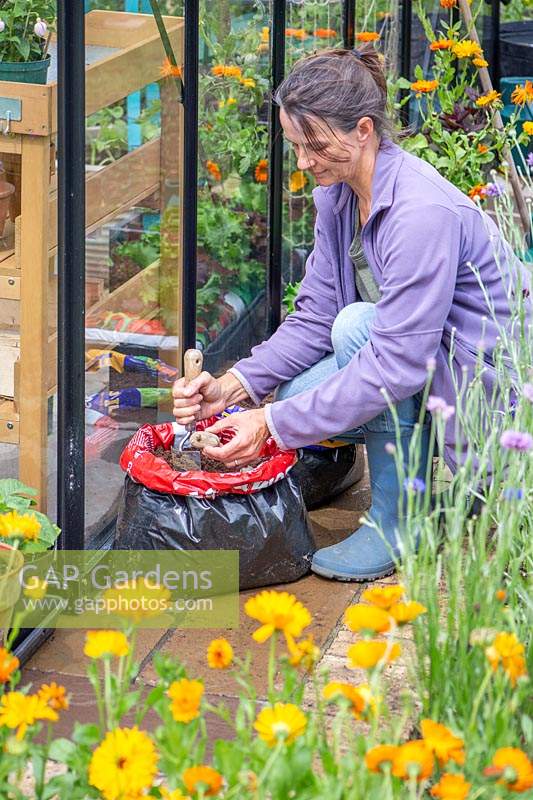 Woman planting seed potatoes in compost bag using a hand trowel