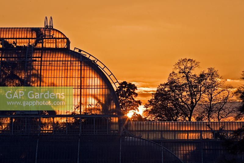Sunset behind the palm house at Kew Botanic Gardens, Kew, Richmond, UK. 