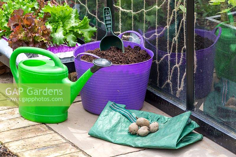Materials and tools for planting potatoes in a potato grow bag