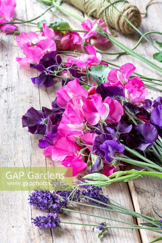 Lathyrus odoratus - Cut Sweet pea 'Jenny' and 'Arianne' flowers on a wooden table