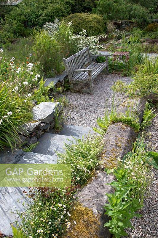 Steps leading to a bench and gravelled area, planted with Libertia grandiflora, grasses and Geum.
