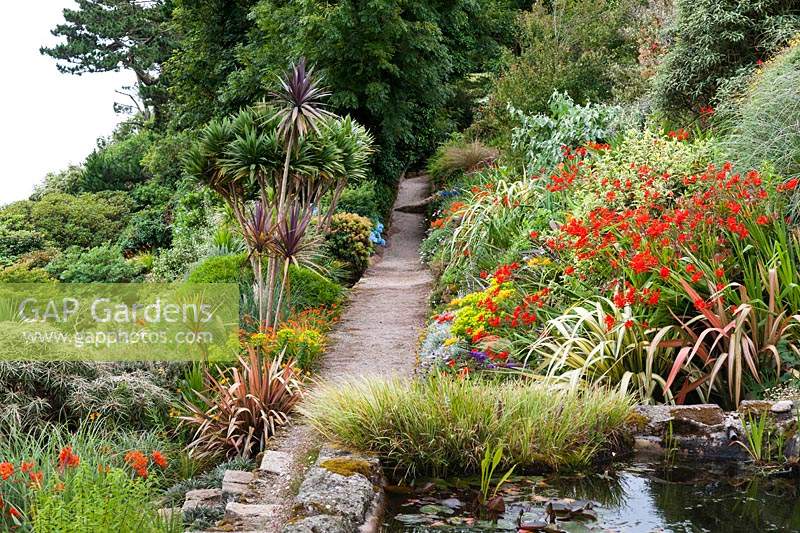 A sunken pond in the corner of the terrace with a path leading between lushly planted sloping borders beyond. Planting includes cordylines, phormiums, Crocosmia 'Lucifer', grasses and euphorbias.
