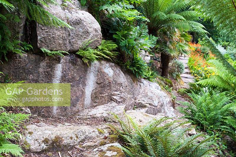 Large granite outcrops are surrounded by lush ferns including  Dicksonia antartic - Tree ferns. 