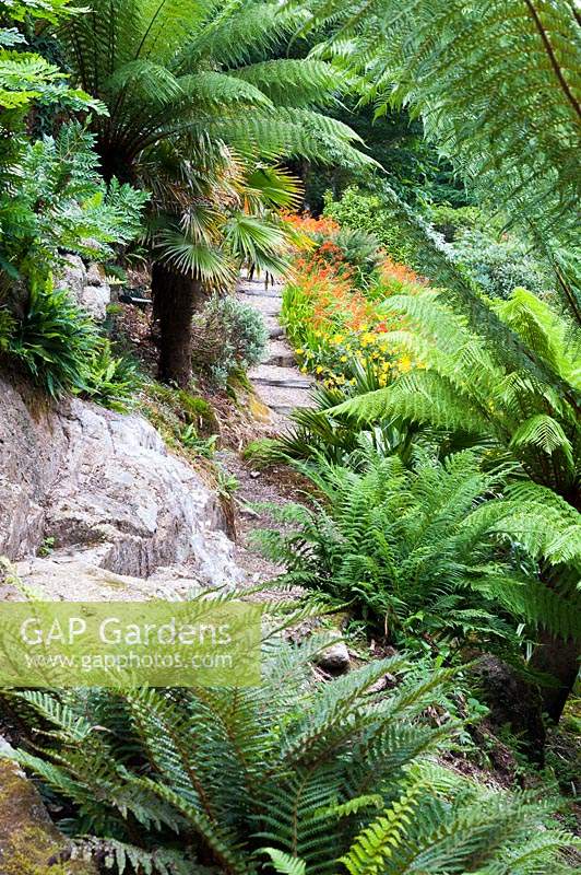 Large granite outcrops are surrounded by lush ferns including Dicksonia antartic - Tree ferns.
