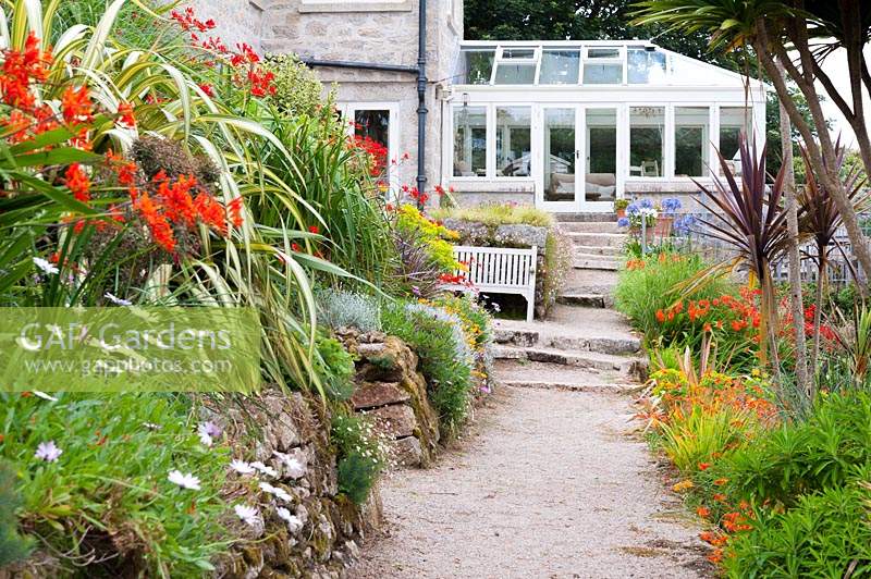 Path leading towards the house is framed with phormiums, cordylines, crocosmias, osteospermums and euphorbias.
