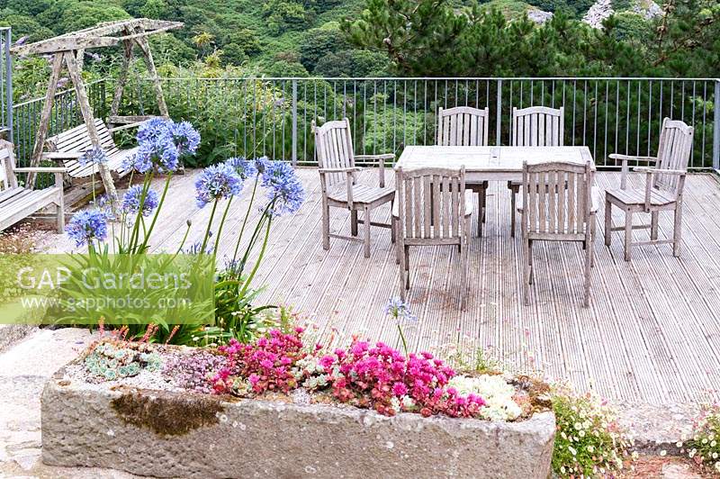 Terrace with dining furniture framed by succulents in a stone trough including sedums and echeverias, surrounded by self-seeded Erigeron karvinskianus, and blue Agapanthus. 