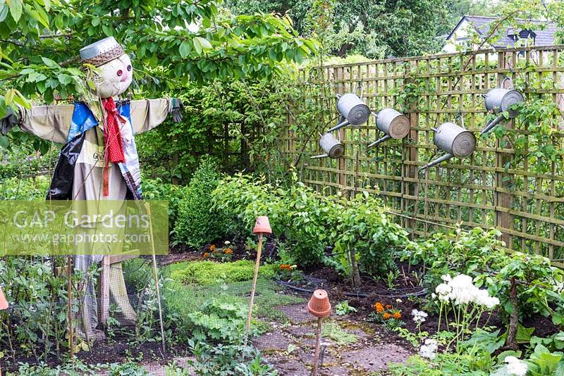 A small vegetable garden with a scarecrow watching over step-over apple trees and broad beans.
