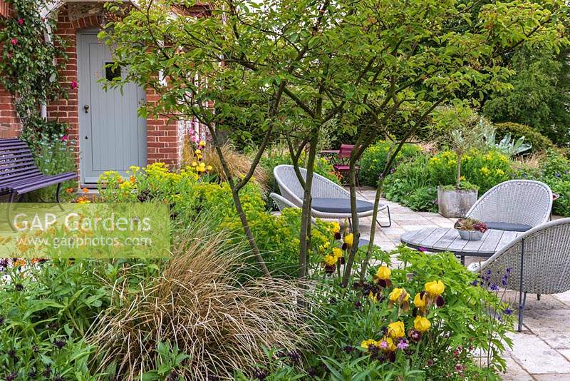 Seen through multi-stemmed amelanchier, herbaceous spring bed and relaxed seating area