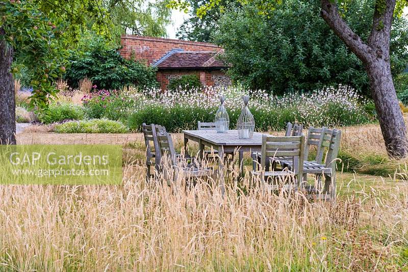 A seating area in the shade of old apple trees, with grass left uncut all around. Beyond, prairie style borders with line of Gaura lindheimeri 'Whirling Butterflies'.