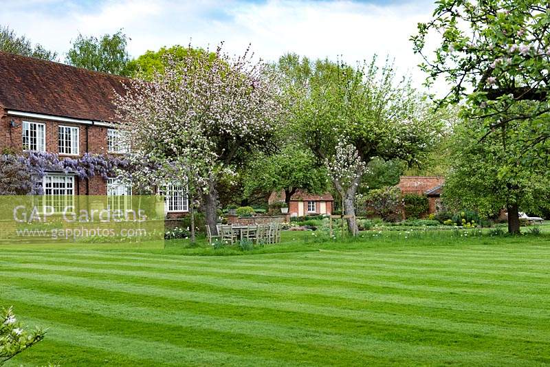 The 1937 house overlooks a lawn where old apple trees break out in blossom above tulips and daffodils.