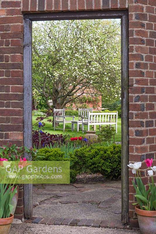 View through brick doorway into back garden with seating area below an old  Worcester Pearmain' apple tree.