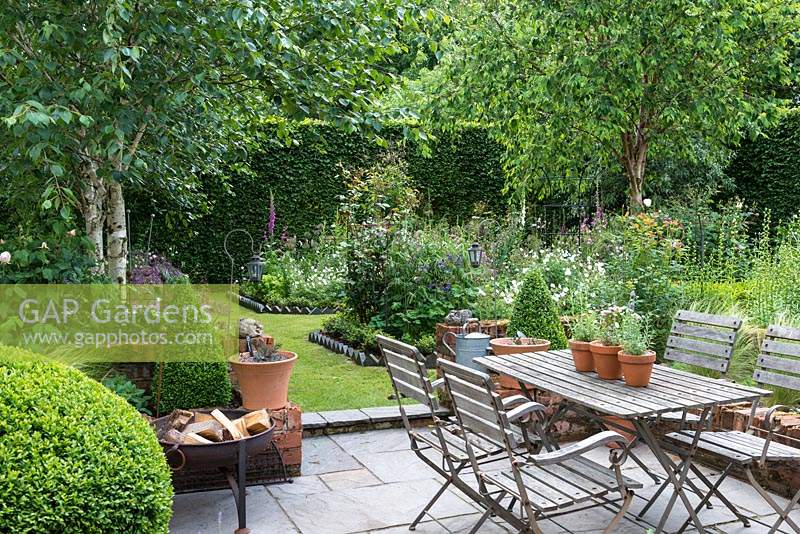 A small paved courtyard with dining table and chairs, next to a tall hornbeam hedge and silver birches - Betula utilis var. jacquemontii.