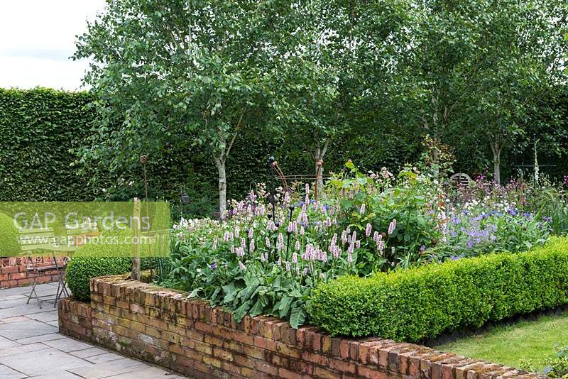 Betula utilis var. jacquemontii, separating a rill from a box parterre planted with Bistort, Roses, hardy Geraniums, Centaureas, Astrantias and ragged robin with Hornbeam hedge enclosing the garden.