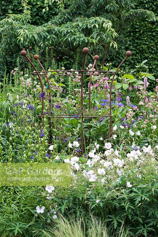 Geranium clarkei 'Kashmir White' grows at the base of a rusted iron plant support from Artisan Plant Supports, amidst  aquilegias, astrantias and bistort.