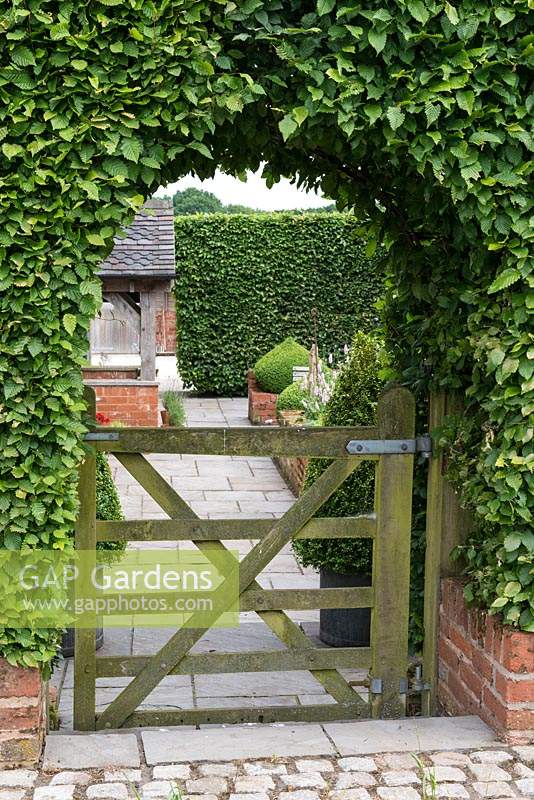 An arch and gate cut into a hornbeam hedge, framing the view of a front cottage garden.