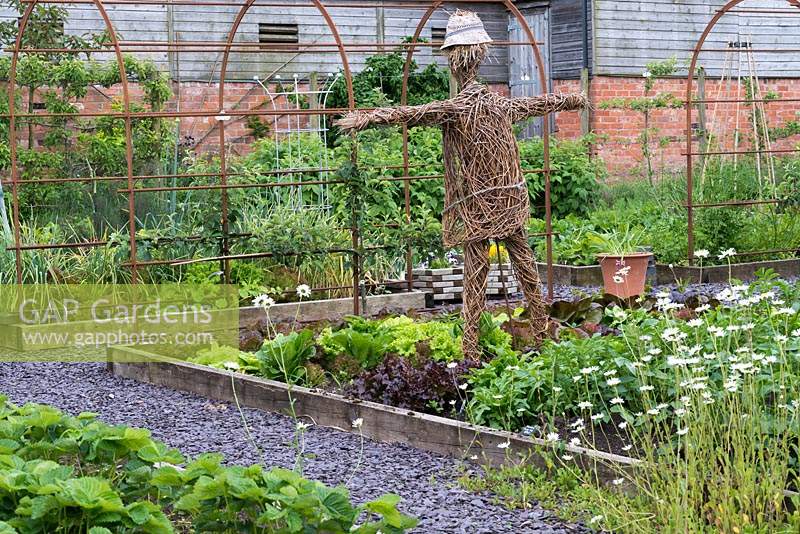 A woven willow scarecrow keeps guard over a raised bed of lettuces in a vegetable parterre.