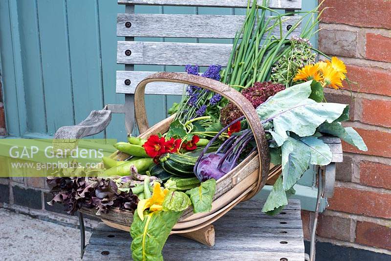 A trug of freshly picked vegetables and flowers picked from a kitchen garden.