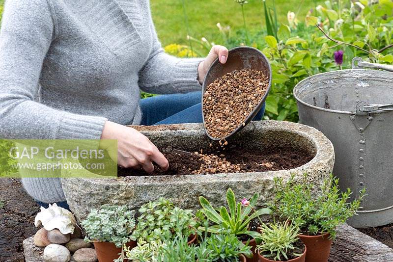 Step-by-Step planting a stone alpine trough. Step 3: Woman mixing gravel into the compost, one to three.