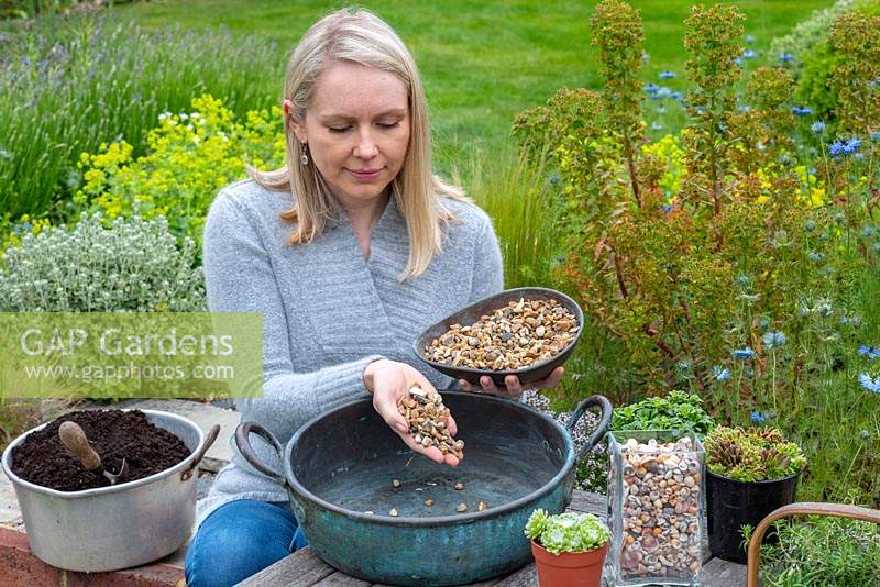 Step-by-Step planting succulent plants in a vintage copper bowl.  Step 2: a 1cm deep layer of  gravel is sprinkled over drainage holes drilled into the bowl.
