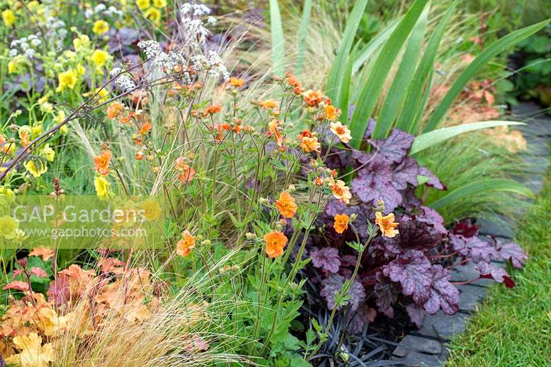 Geum 'Totally Tangerine' in a border with Heuchera 'Plum Pudding' and Stipa tenuissima - The Redshift, RHS Malvern Spring Festival 2019