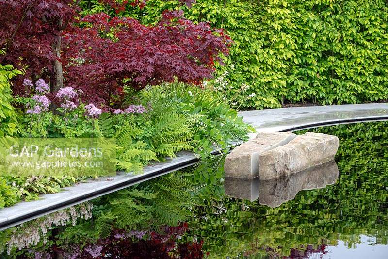 Acer palmatum 'Bloodgood' in a mixed spring border next to a reflective pool with split boulder - The Leaf Creative Garden - A Garden of a quiet contemplation - RHS Malvern Spring Festival 2019