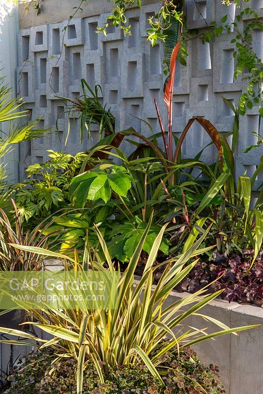 Exotic planting in a raised bed - Green Living Spaces, RHS Malvern Spring Festival 2019