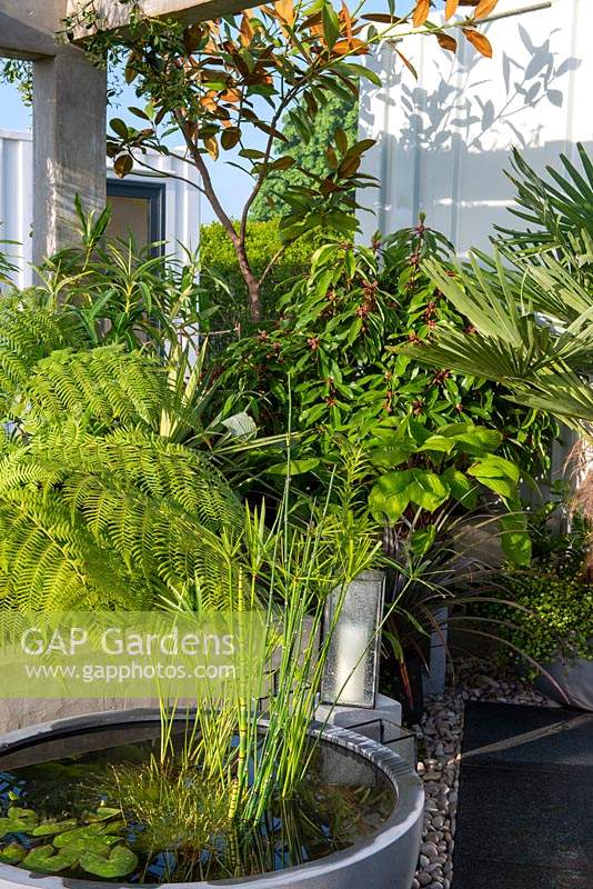 Small exotic garden with a planted container pond - Defiance - Green Living Spaces, RHS Malvern Spring Festival 2019