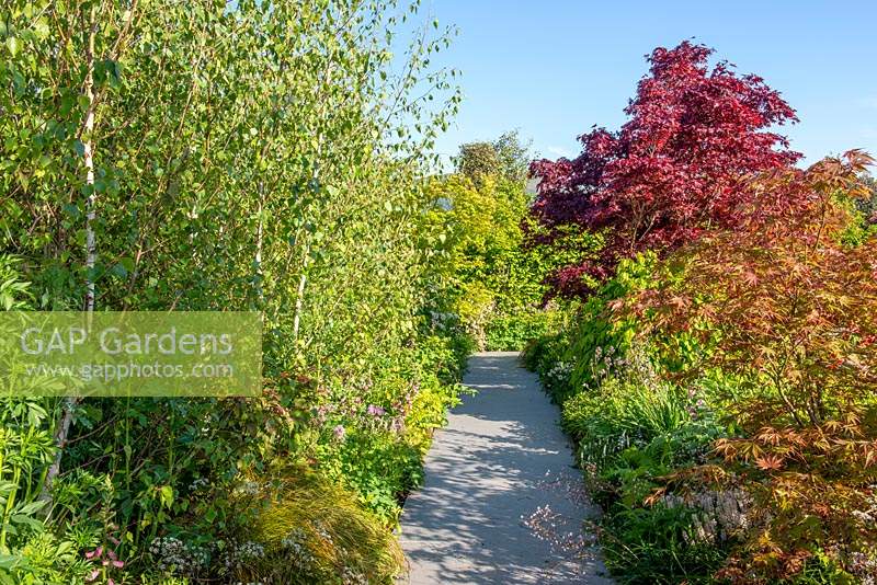 Path leading through mixed borders - The Leaf Creative Garden - A Garden of a quiet contemplation - RHS Malvern Spring Festival 2019