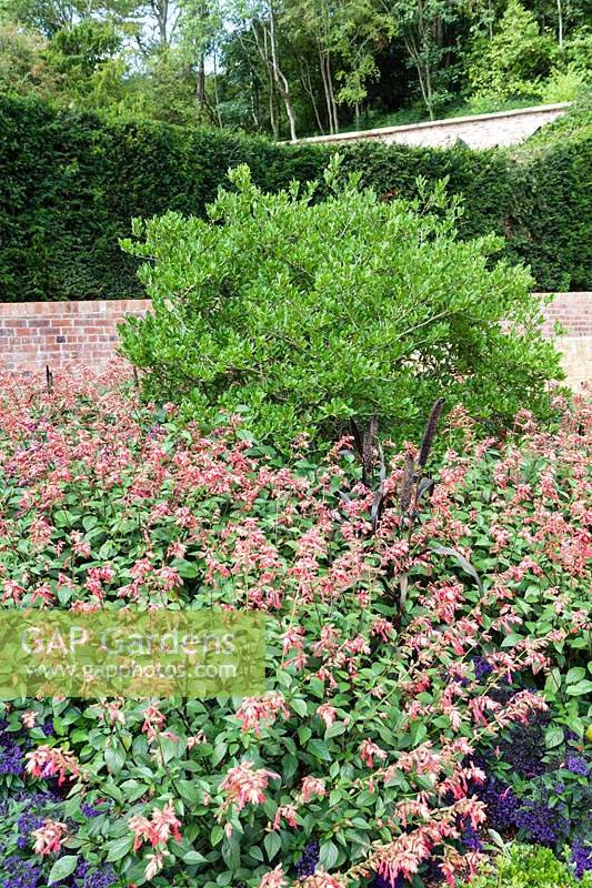 The Victorian Fragrance Garden. The Newt in Somerset